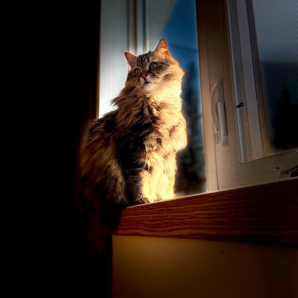 Meet the Posher - Picture 2 of 6